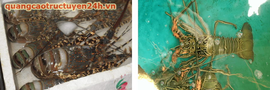  Quán Bờ Kè Hồng Hào - Quán ăn ngon chất lượng nhất tại Mũi Né