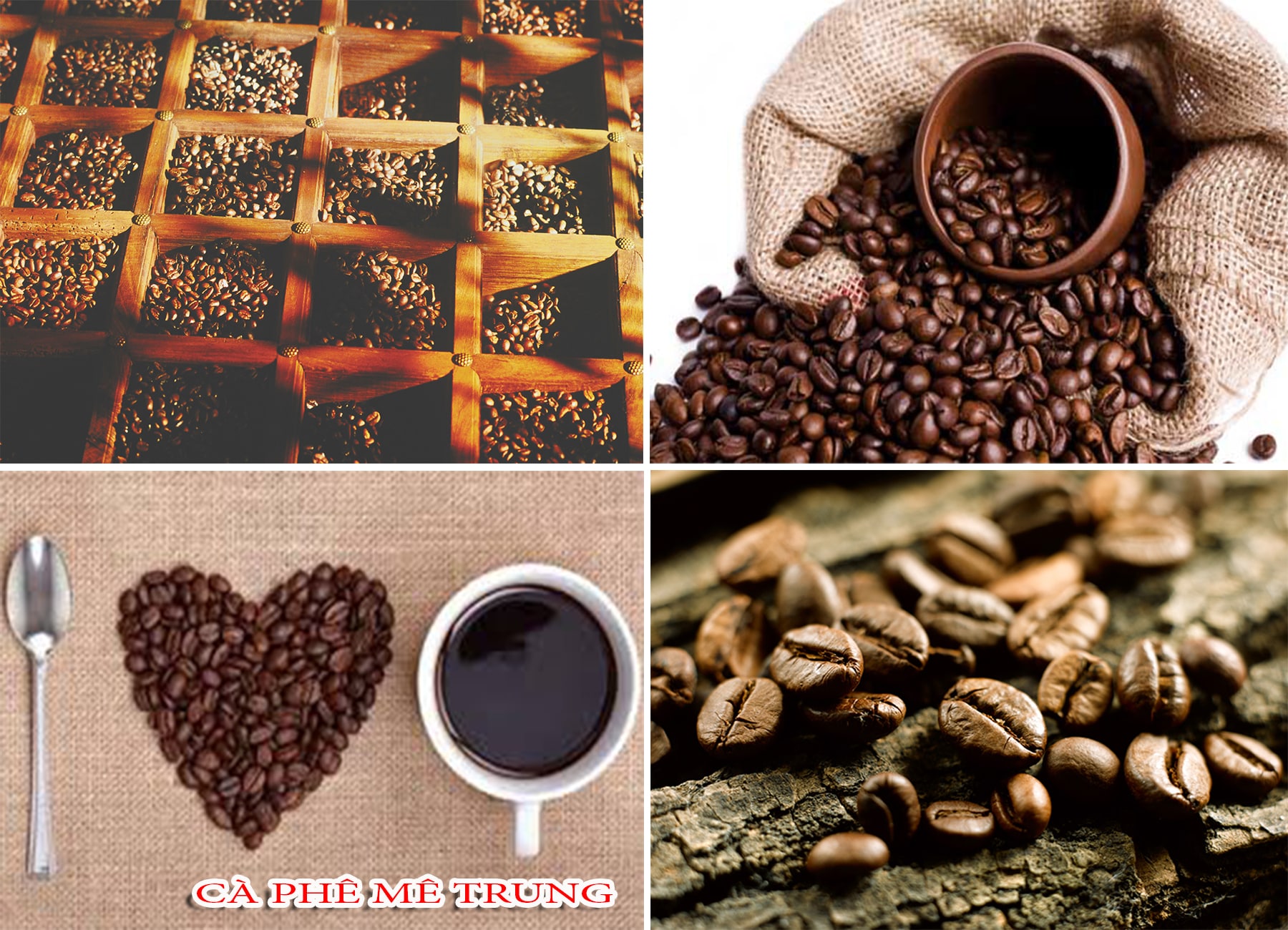 Cà phê rang xay nguyên chất ngon ngay từ nguồn nguyên liệu