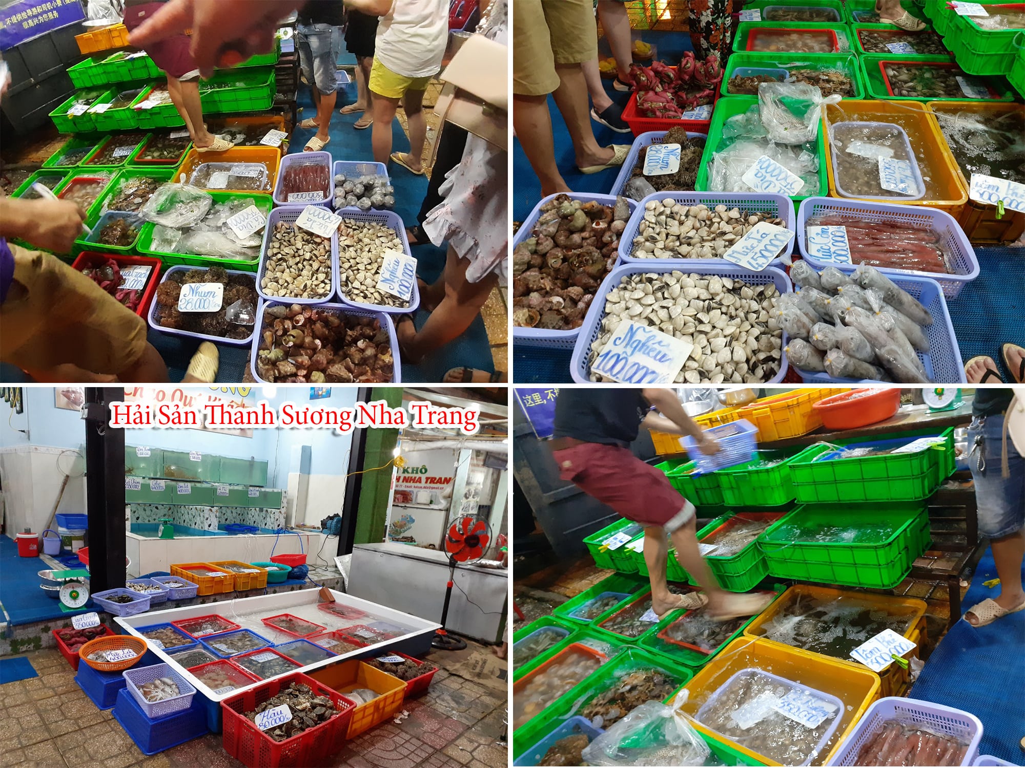 Những món ăn hải sản nổi tiếng ở Hải Sản Thanh Sương Nha Trang