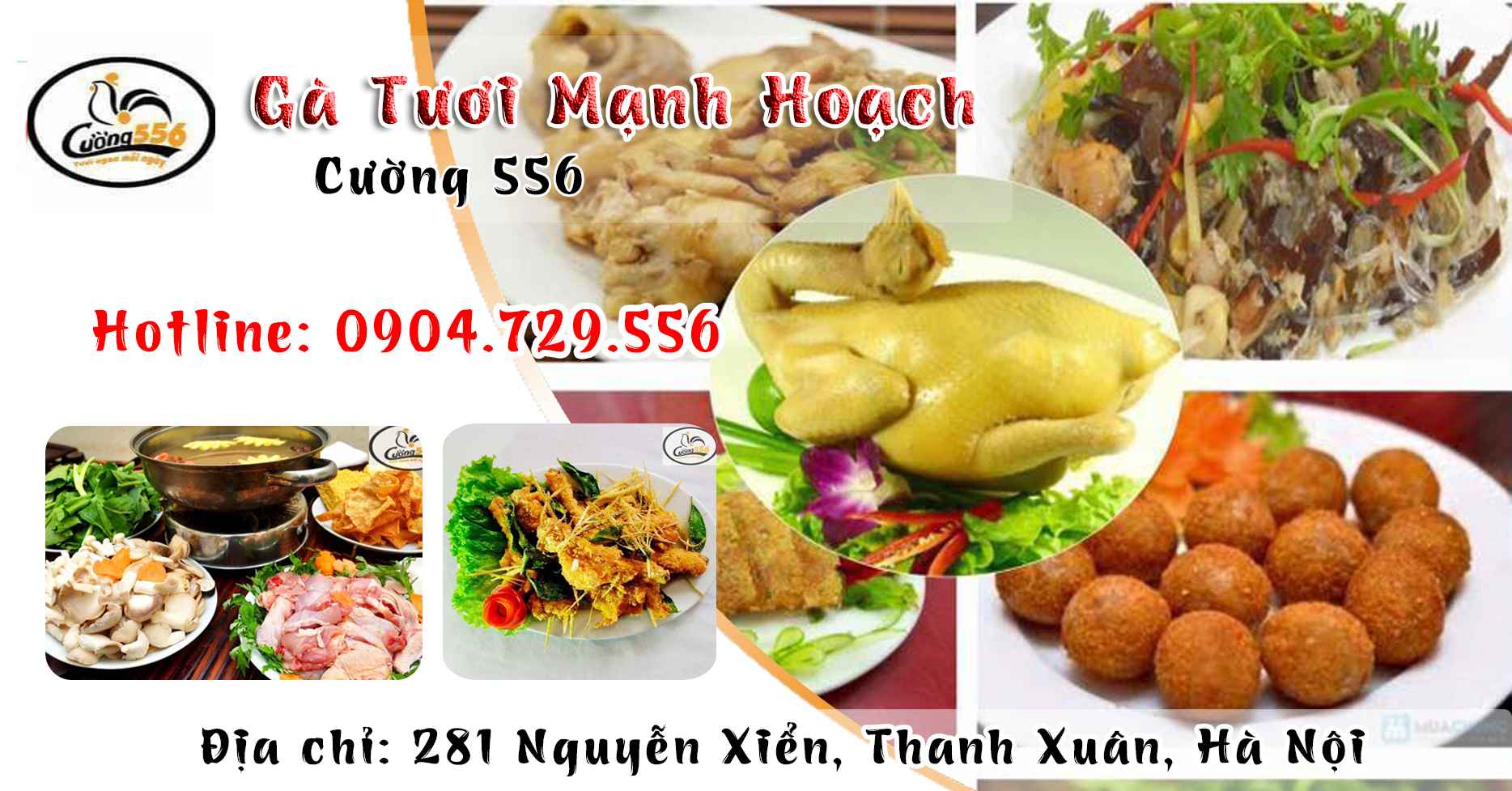 banner-ga-tuoi-manh-hoach-cuong-556