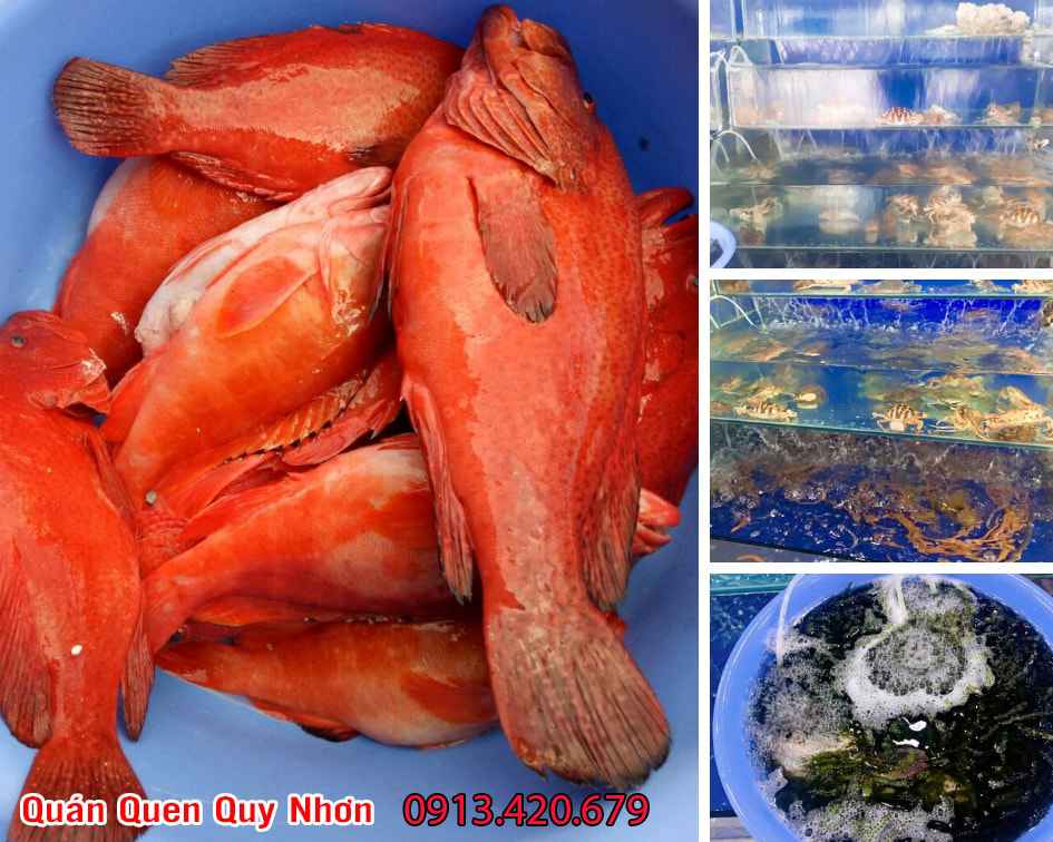 Quán nhậu Hải sản - Đồ rừng ngon tại Quy Nhơn