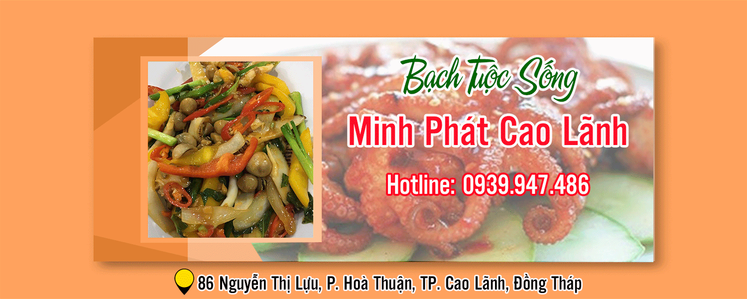 banner-bach-tuoc-song-minh-phat-cao-lanh