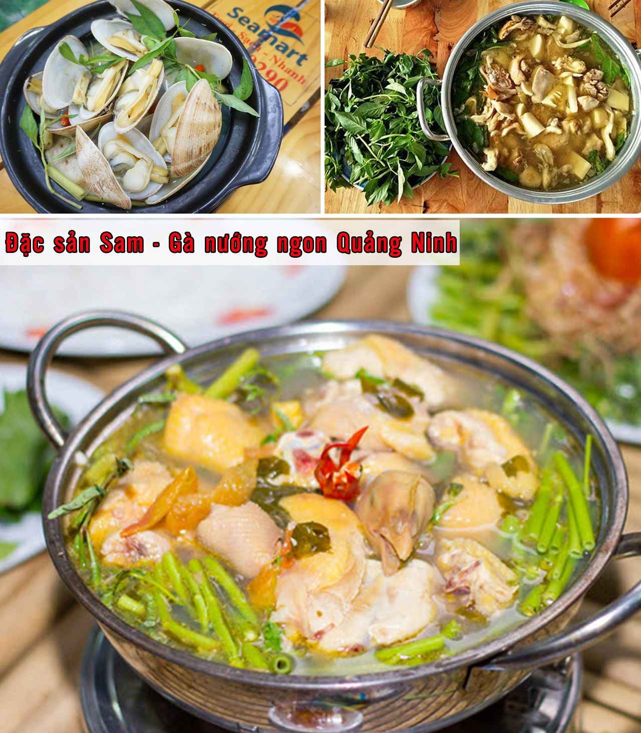 Đặc sản Sam-Gà nướng ngon Quảng Ninh