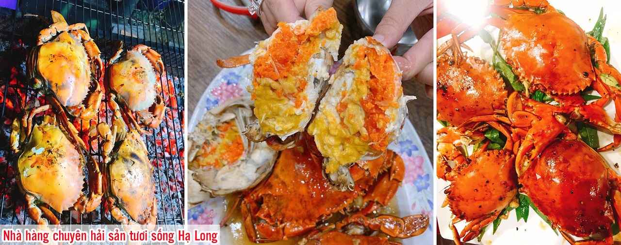 Nhà hàng chuyên hải sản tươi sống Hạ Long