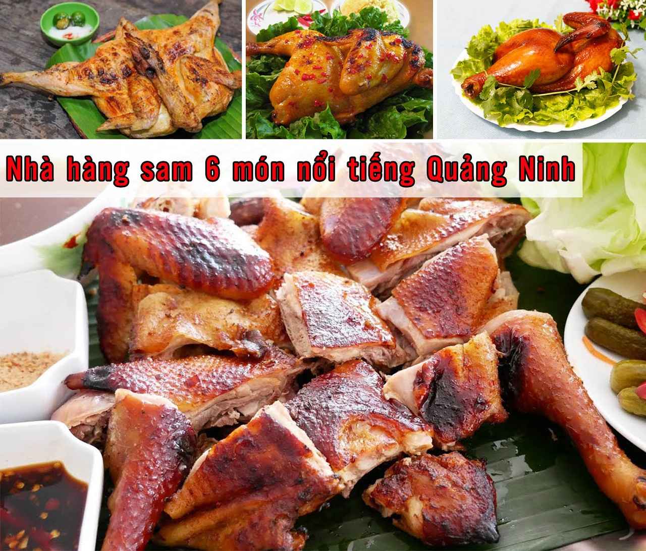 Nhà hàng sam 6 món nổi tiếng Quảng Ninh