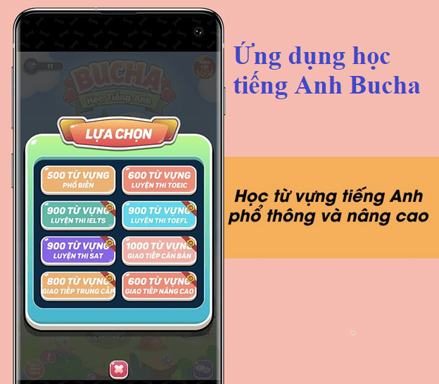 Ứng dụng học tiếng Anh Bucha