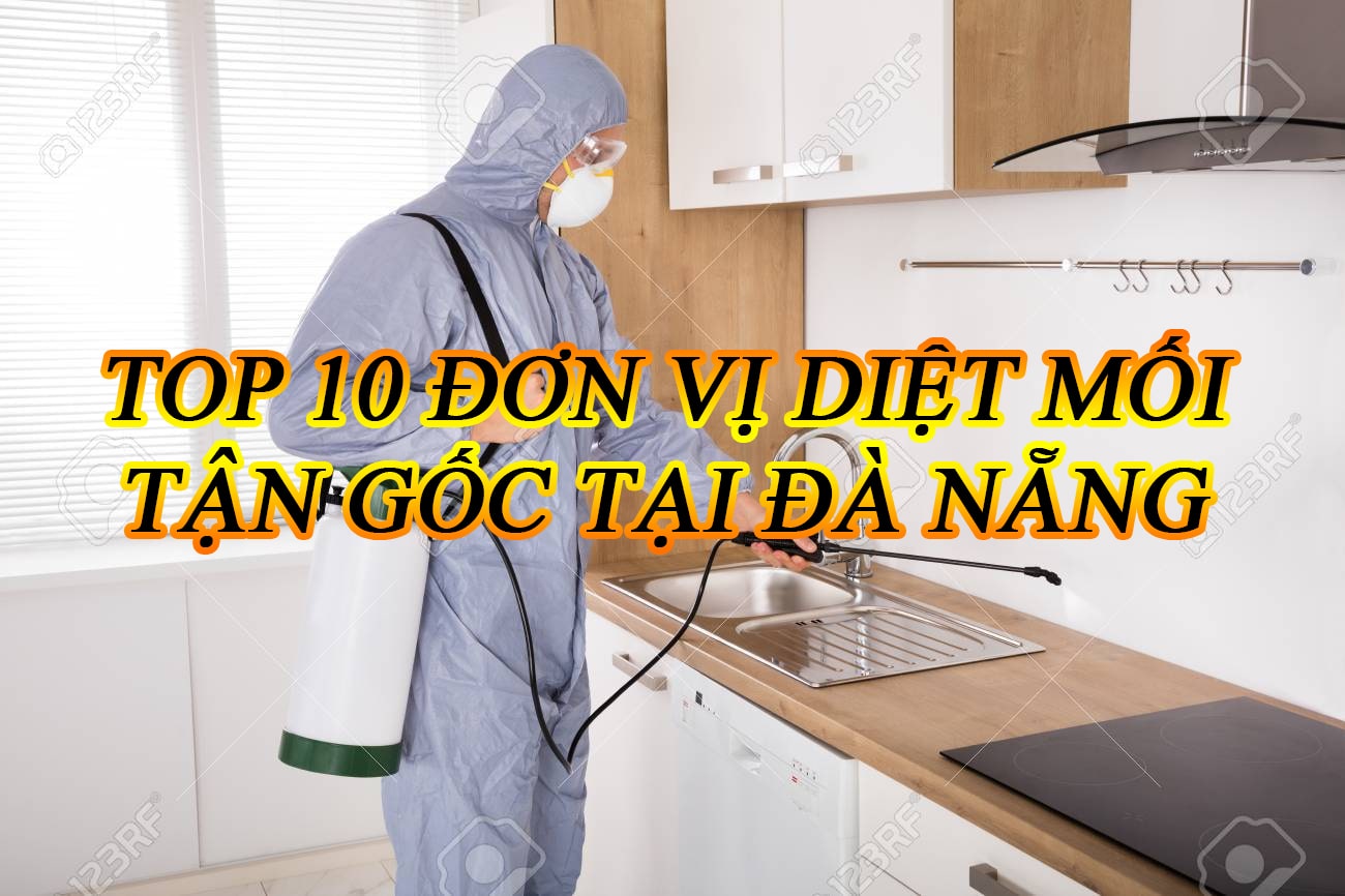 Diệt mối tận gốc tại Đà Nẵng