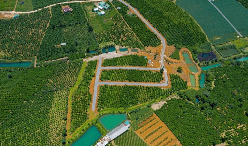 Người mua đất vườn Bảo Lộc để làm trang trại