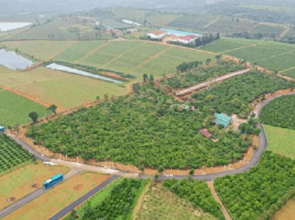 Người mua đất vườn Bảo Lộc giá rẻ để đầu tư