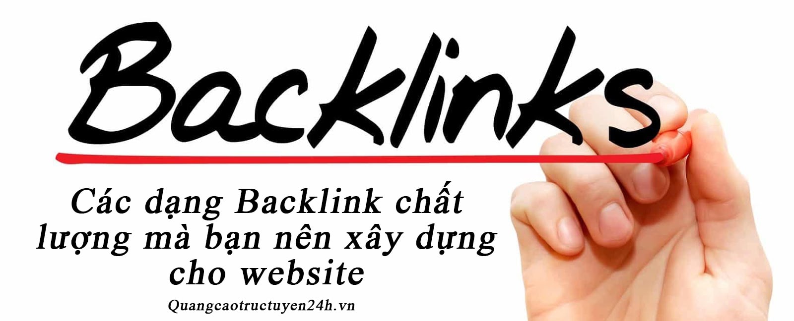 Các dạng backlink chất lượng