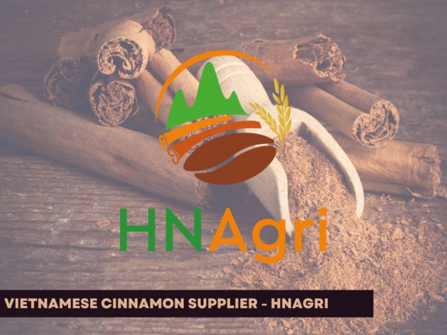 Viet Agri Wholesale - Vietnamese Cinnamon supplier