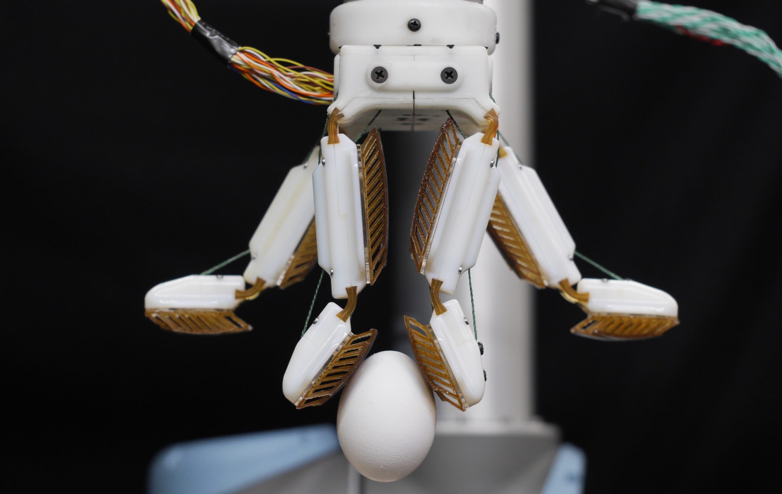 Engineers created a robotic hand with a gecko-like grip | Popular ...